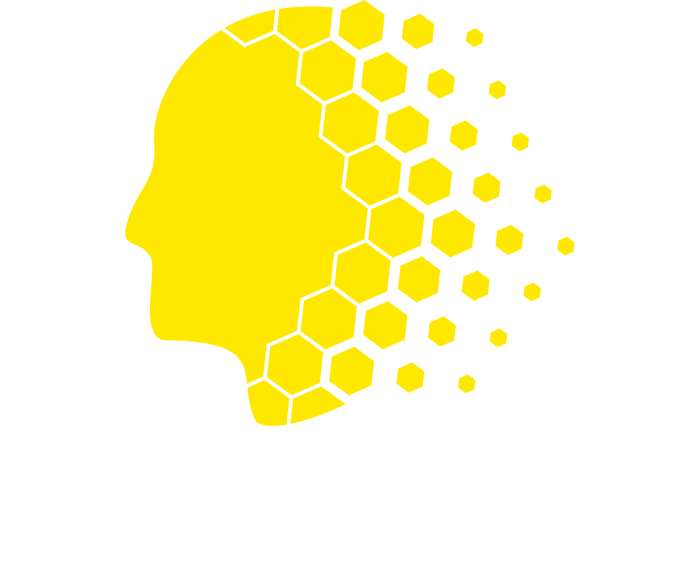 BHI Solutions